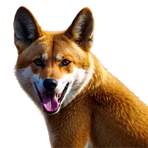 Desert Dingo Artwork Png 54 PNG image