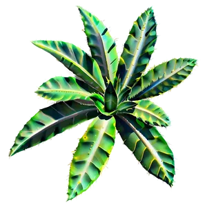 Desert Plant PNG Ghg93