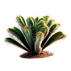 Desert Plant PNG Rda