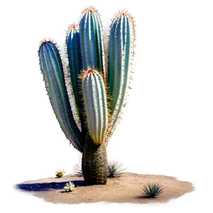 Desert Plants Png 96 PNG image