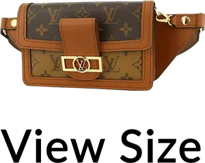 Designer Belt Bag Product Showcase PNG image