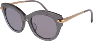 Designer Black Round Sunglasses PNG image