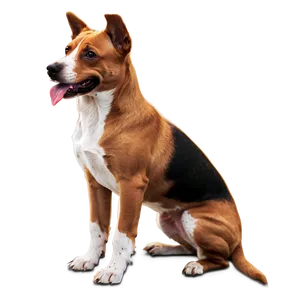 Designer Breed Dogs PNG 05242024