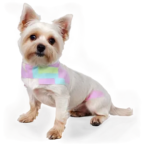 Designer Breed Dogs PNG 05242024