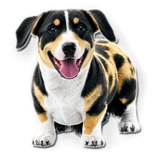 Designer Breed Dogs PNG Bfa11