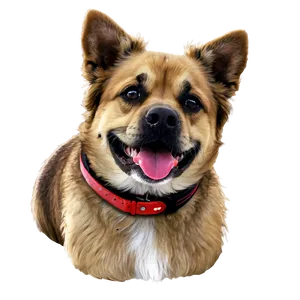 Designer Breed Dogs PNG Bgw49