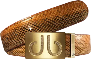 Designer Gold Buckle Snakeskin Belt PNG