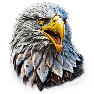 Detailed American Eagle Png 06122024 PNG image