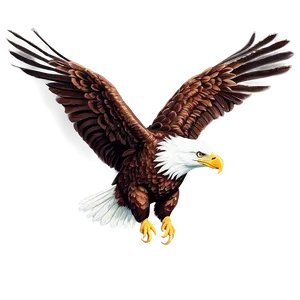 Detailed American Eagle Png Gxu PNG image