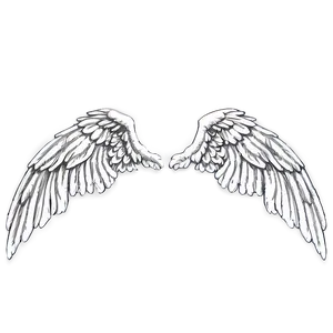 Detailed Angel Wings Sketch Png 05042024 PNG image