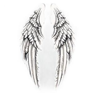 Detailed Angel Wings Sketch PNG Dki