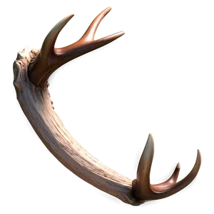 Detailed Antler Sketch Png 16 PNG image