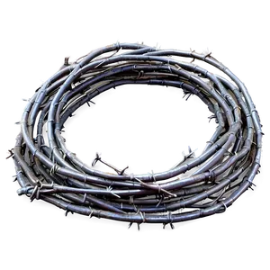 Detailed Barbwire PNG 05252024 PNG