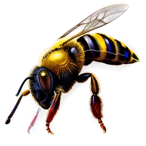 Detailed Bee PNG Aol54