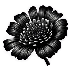 Detailed Black White Flowers Png 06282024 PNG image