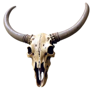 Detailed Bull Skull Sketch PNG Tpo34 PNG