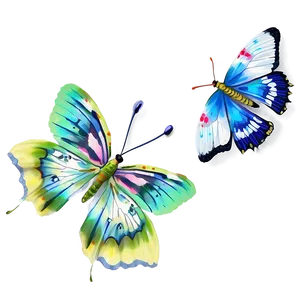 Detailed Butterflies PNG 26