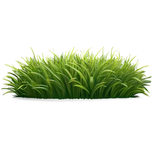 Detailed Cartoon Grass PNG Qhi5 PNG