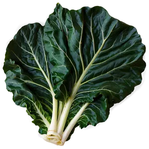 Detailed Collard Greens PNG 44