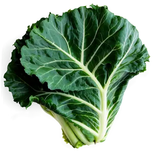 Detailed Collard Greens PNG Vis23 PNG