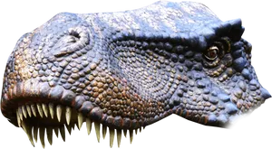 Detailed Crocodile Head Profile PNG image