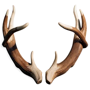 Detailed Deer Antler Engraving Png 7 PNG image