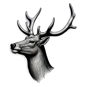 Detailed Deer Head Sketch PNG 54