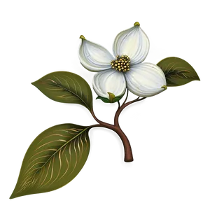 Detailed Dogwood Flower PNG 95 PNG