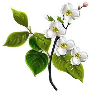 Detailed Dogwood Flower PNG Pxr58