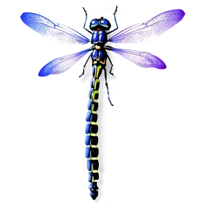Detailed Dragonfly PNG Ptm26