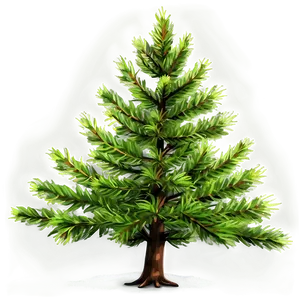 Detailed Evergreen Tree Png 06212024 PNG image