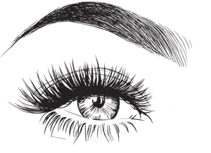 Detailed Eyebrowand Eye Illustration PNG image