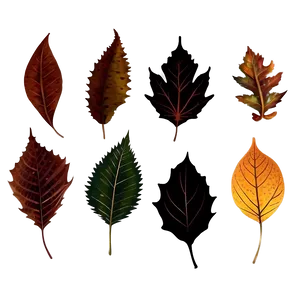 Detailed Fallen Leaves Silhouettes PNG Qvl95 PNG