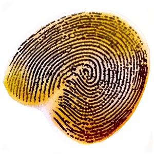 Detailed Fingerprint Design Png Hxv10 PNG image