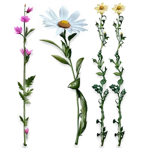 Detailed Flower Stem PNG Xvg PNG