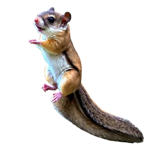 Detailed Flying Squirrel Png 06262024 PNG image