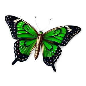 Detailed Green Butterfly PNG 06202024 PNG