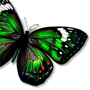 Detailed Green Butterfly PNG Thc77 PNG
