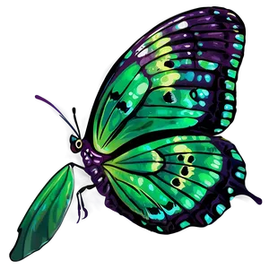 Detailed Green Butterfly PNG Xse36 PNG
