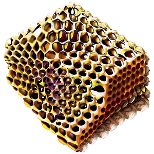 Detailed Honeycomb Illustration Png 40 PNG image