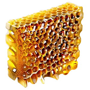 Detailed Honeycomb PNG Uvf43