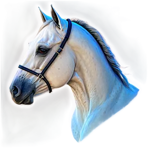 Detailed Horse Head Sketch Png 06122024 PNG image