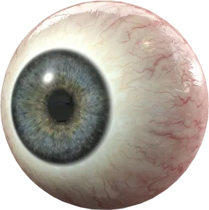 Detailed Human Eyeball Closeup PNG image