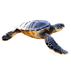 Detailed Leatherback Turtle Drawing Png 06292024 PNG image