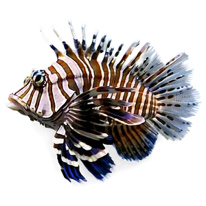 Detailed Lionfish Png 06292024 PNG image