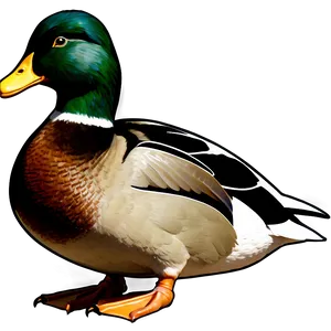 Detailed Mallard Duck Png 06262024 PNG image