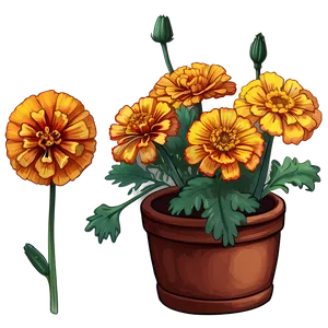 Detailed Marigolds Sketch PNG Fty78