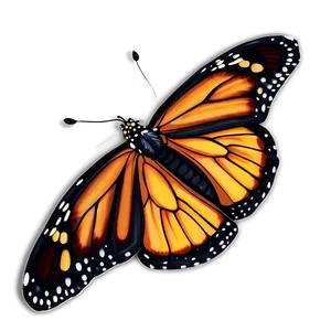 Detailed Monarch Butterfly Drawing Png 05252024 PNG image