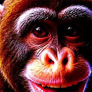 Detailed Monkey Face Drawing Png Sda10 PNG image