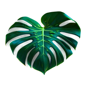Detailed Monstera Leaf PNG Hbh98